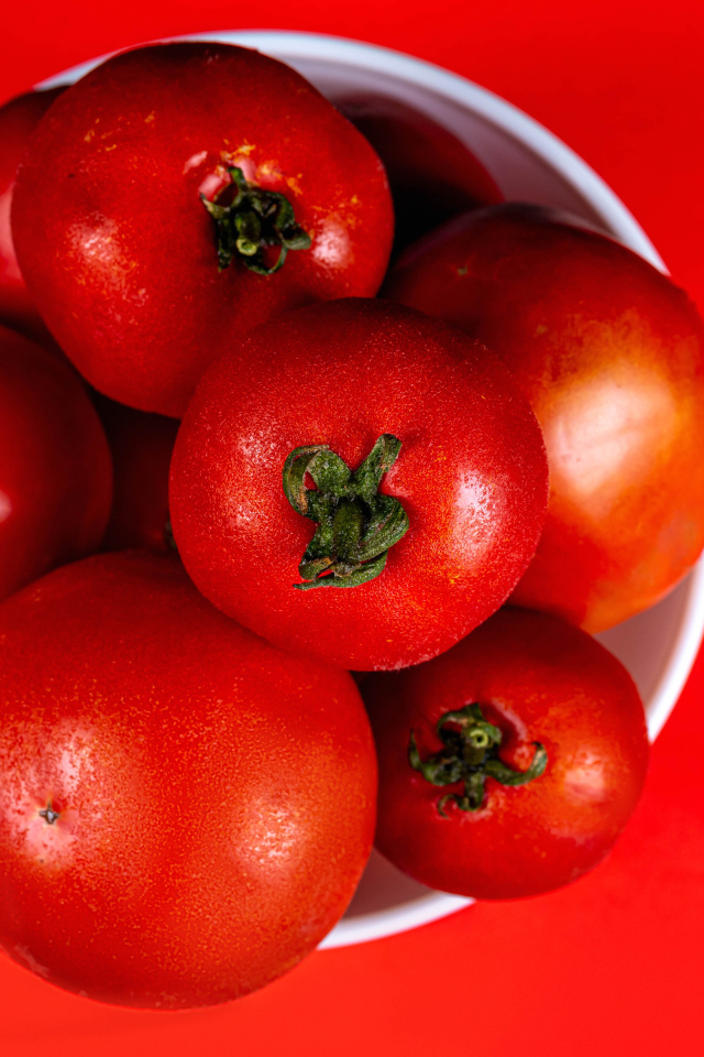 Крупные помидоры в белой миске на красном фоне