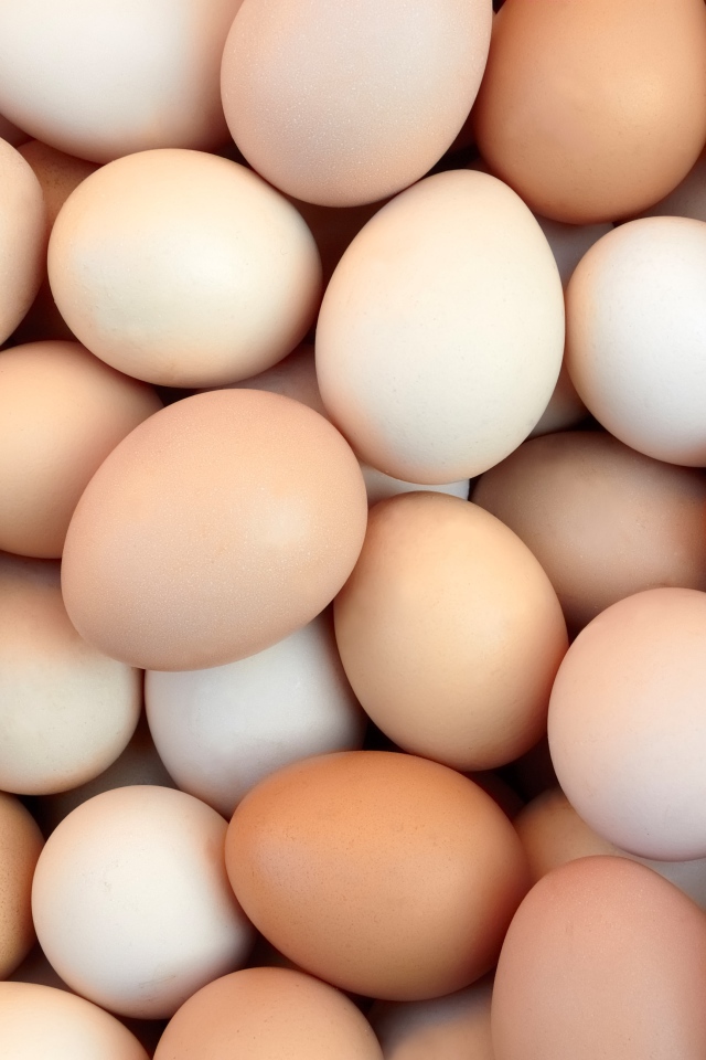 Много домашних яиц крупным планом