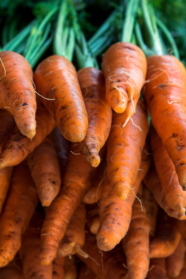 Много оранжевой моркови крупным планом 
