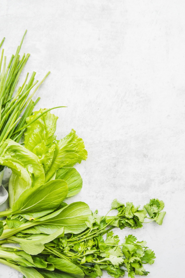 Зелень петрушки и лука, листья салата и свежие огурцы на белом фоне