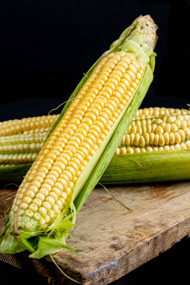 Два початка кукурузы на деревянной доске 
