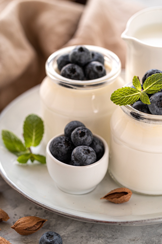 Йогурт на тарелке с ягодами черники 