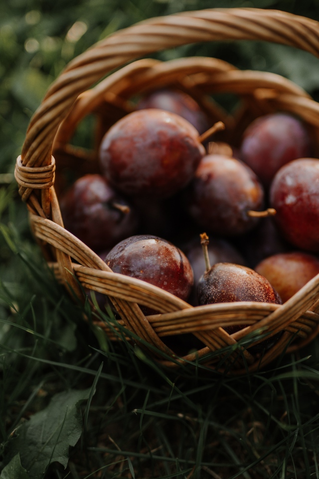 Корзина розовых слив стоит на траве