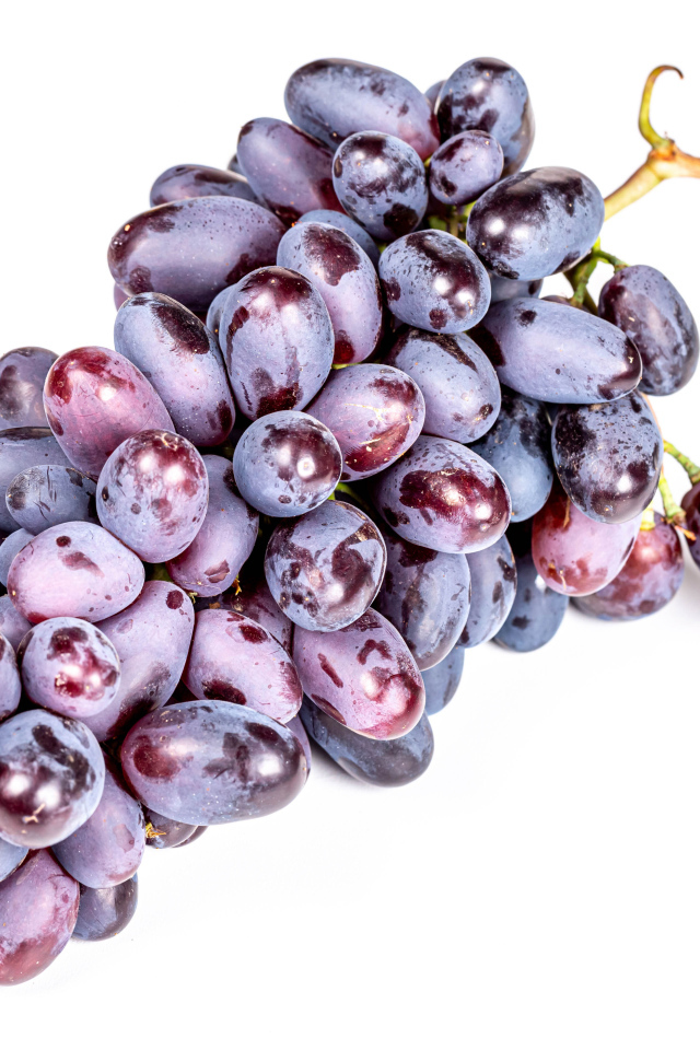 Гроздь синего винограда на белом фоне крупным планом