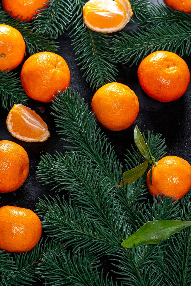 Много мандаринов на столе с еловыми ветками