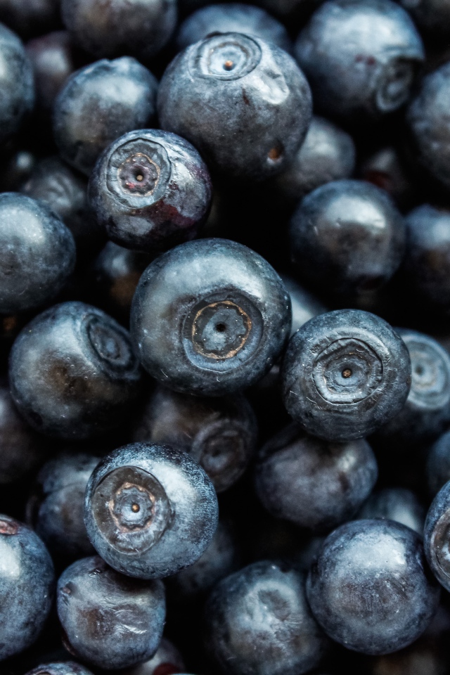 Ягоды черники крупным планом 