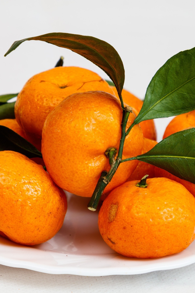 Свежие оранжевые мандарины с зелеными листьями на белой тарелке 