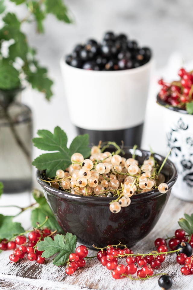 Свежая красная, черная и белая смородина на столе