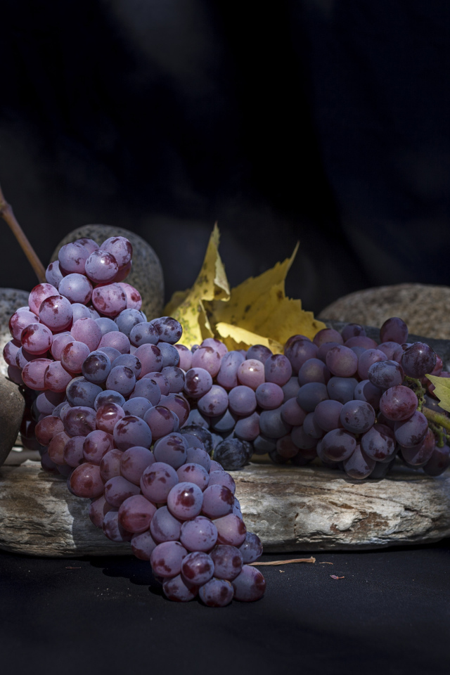 Large bunches of pink grapes with stones