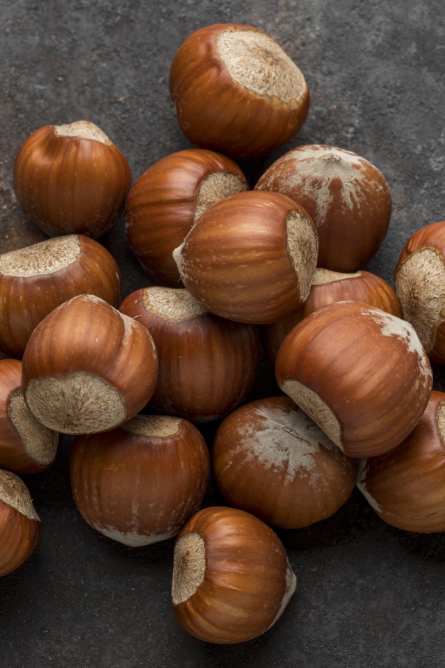 Много лесных орехов на сером столе 