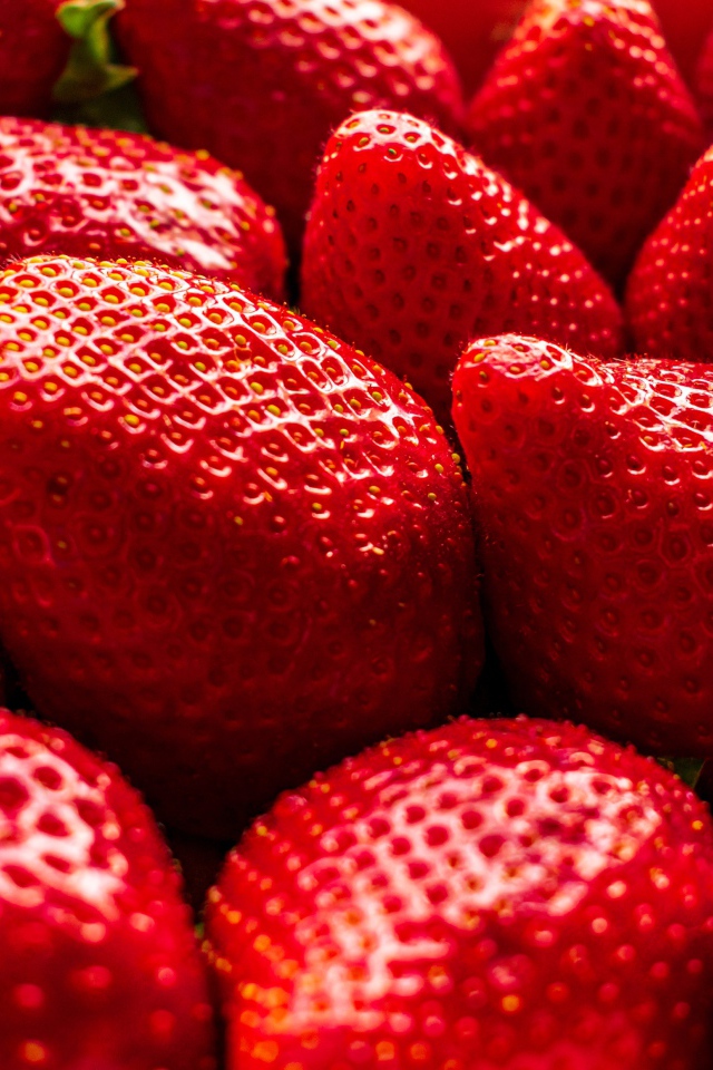 Много сладкой спелой красной клубники крупным планом