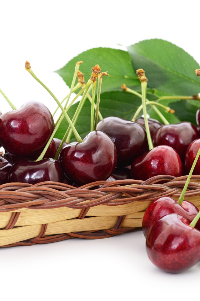 Много спелой крупной черешни в корзинке на белом фоне