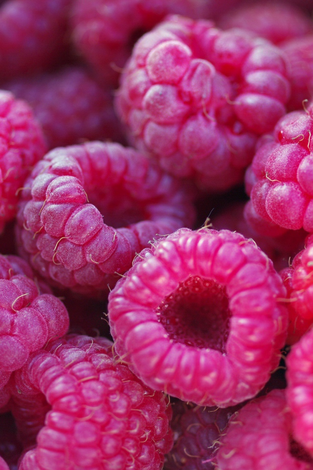 Спелые крупные ягоды малины 