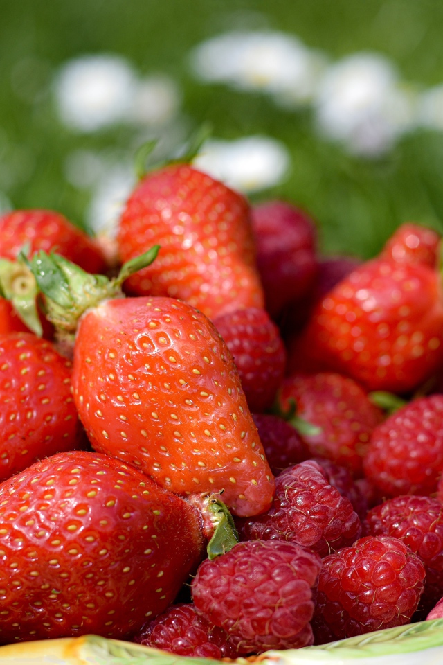 Спелая малина с ягодами клубники в тарелке 