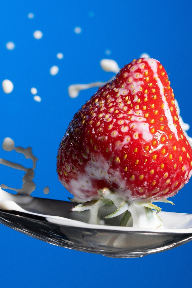 Спелая красная клубника в ложке молока на голубом фоне