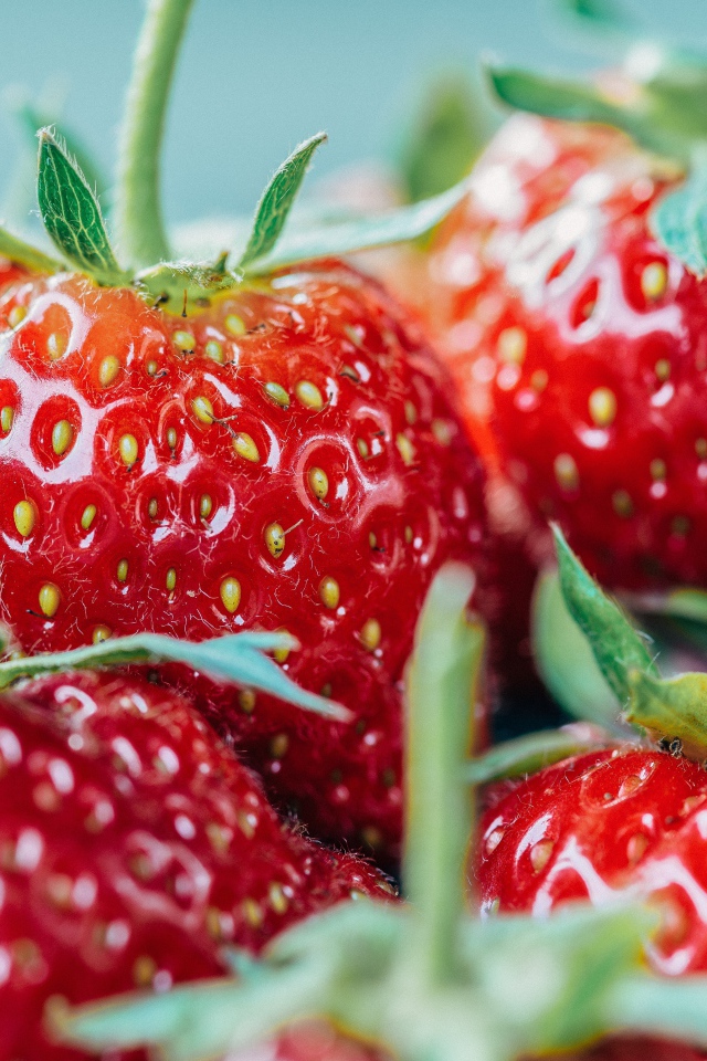Ripe strawberries with green tails