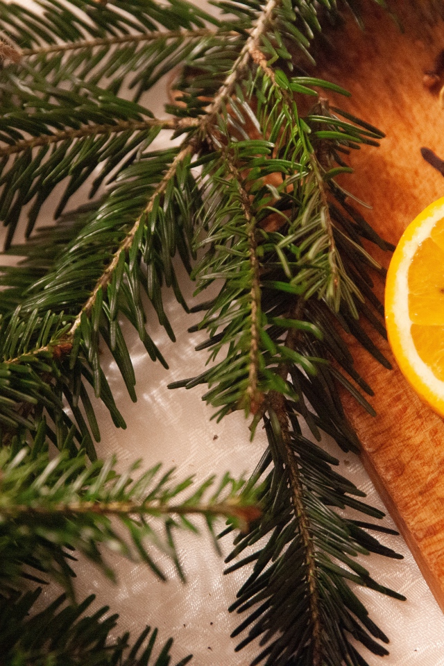 Еловая ветка с кусочками апельсина, корицей и гвоздикой 