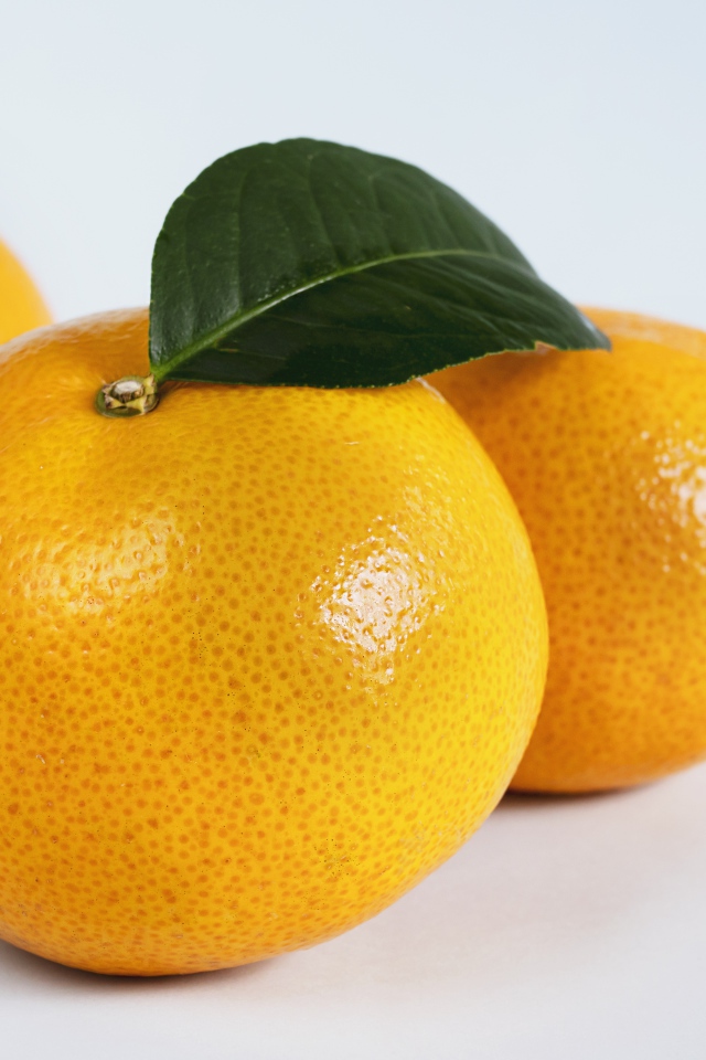 Three large ripe tangerines on a gray background