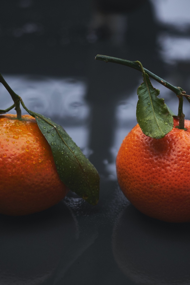 Два оранжевых мандарина лежат на мокрой поверхности 