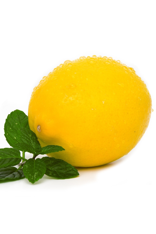Мокрый лимон с мятой на белом фоне