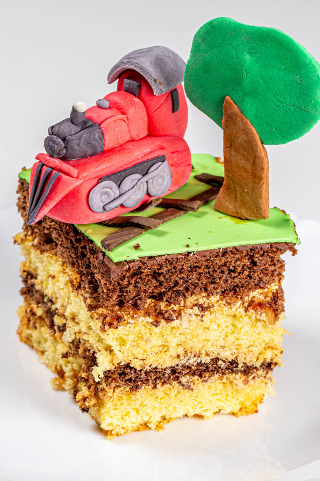 Кусок торта на белой тарелке с декором 