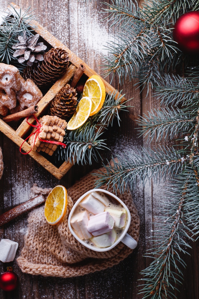 Зеленая еловая ветка на столе с печеньем и шишками