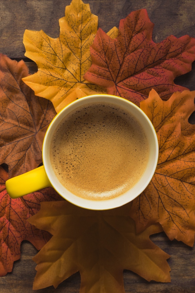 Чашка горячего кофе стоит на осенних листьях 