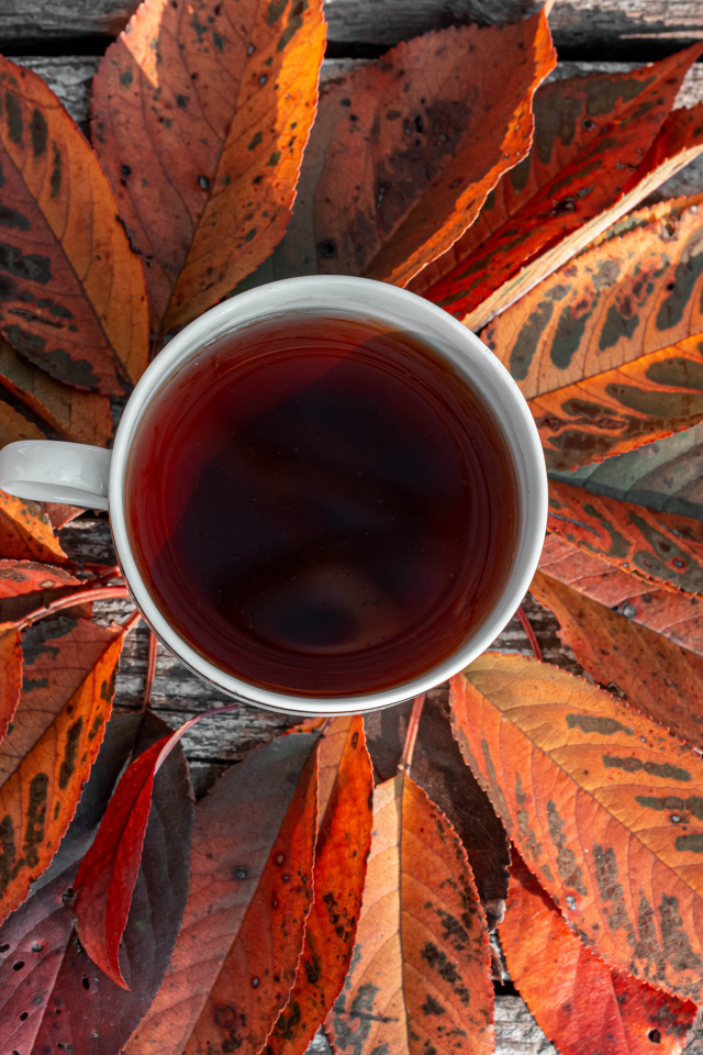 Чашка чая на столе с желтыми листьями