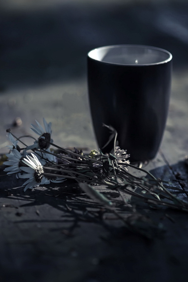 Чашка чая на столе с ромашками и книгой 