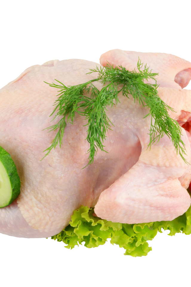 Сырая курица с помидорами, огурцами и листьями салата