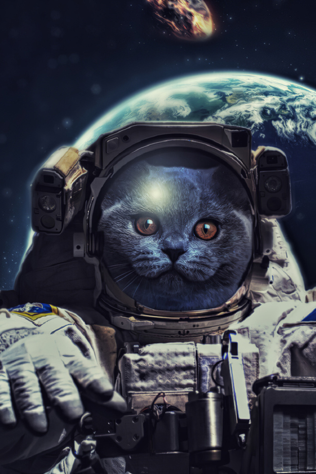 Cat in a suit of an astronaut in space