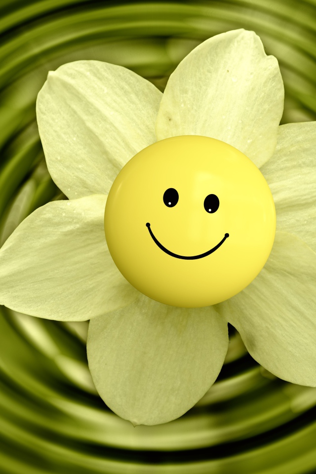 Цветок нарцисса со смайликом в воде 