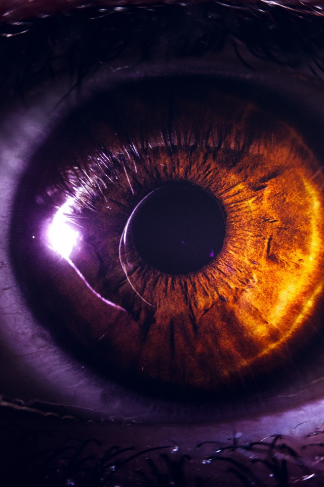 Карий глаз девушки крупным планом