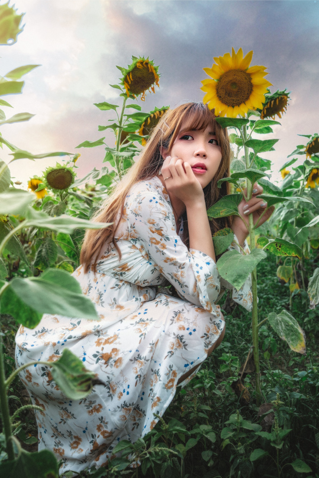 Красивая девушка азиатка на поле с подсолнухами 