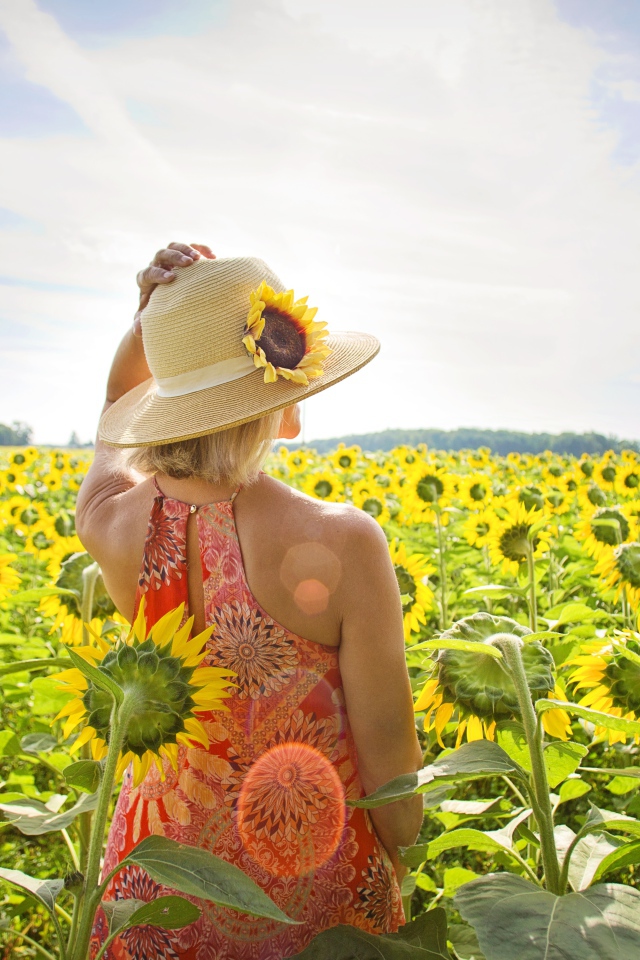 Красивая девушка в шляпке на поле с подсолнухами летом