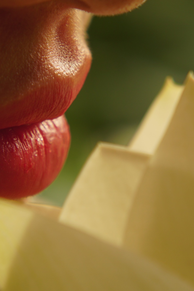 Красивые губы девушки с цветком