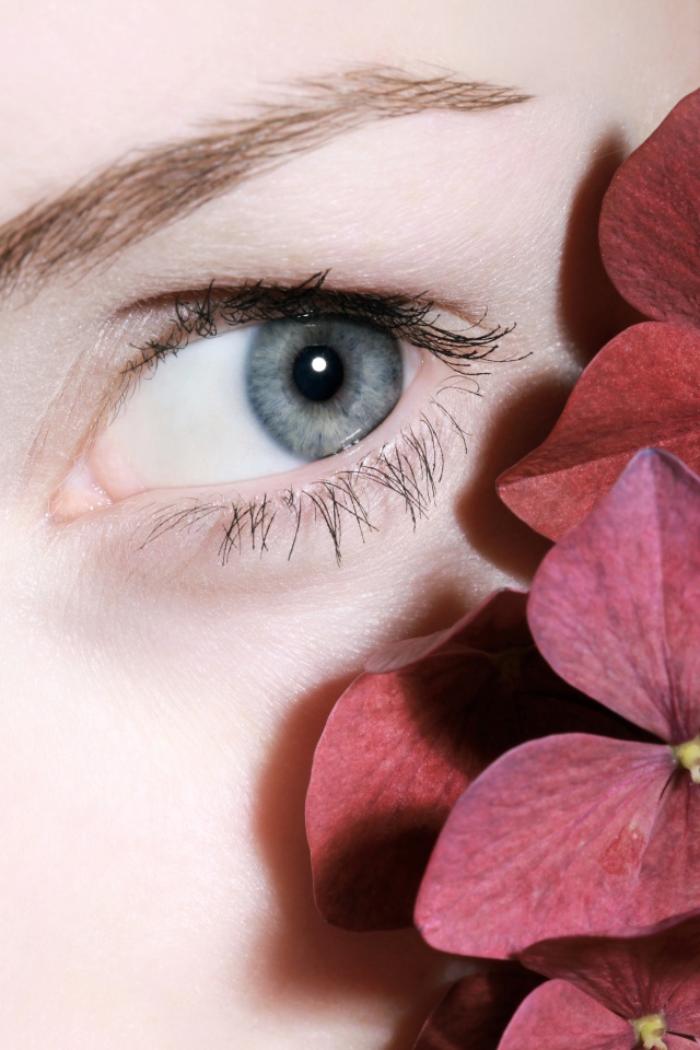 Глаз красивой девушки с красными цветами