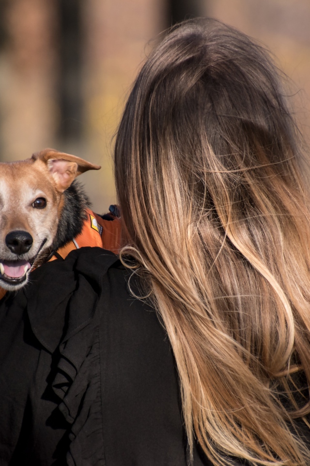 Девушка несет собаку на руках 