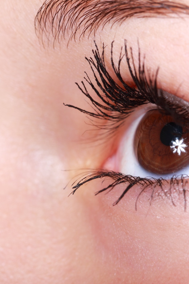 Карий глаз девушки с длинными ресницами