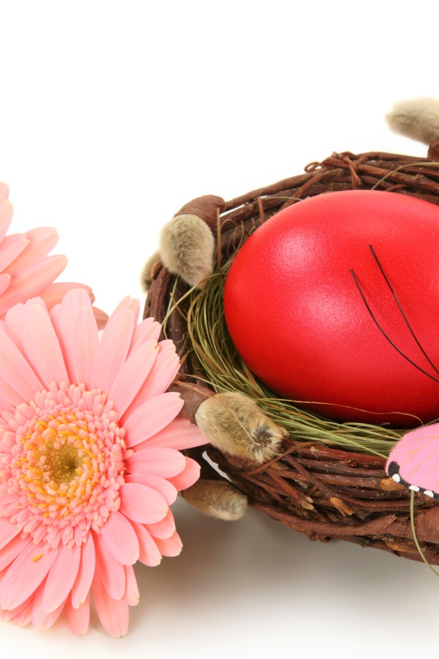 Яйцо в гнезде с розовыми герберами на белом фоне на Пасху
