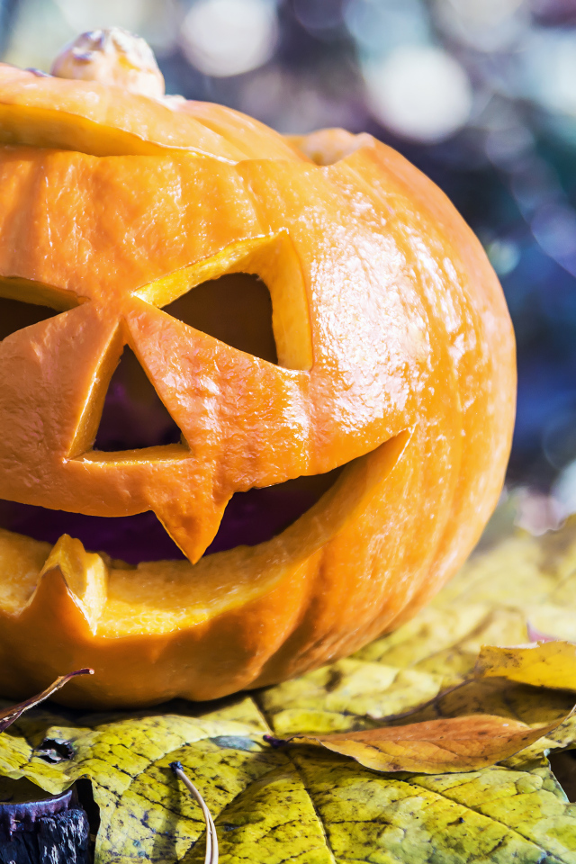 Тыква на Хэллоуин стоит на листке