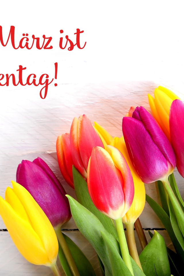 Красивый букет  тюльпанов на Международный женский день 8 марта