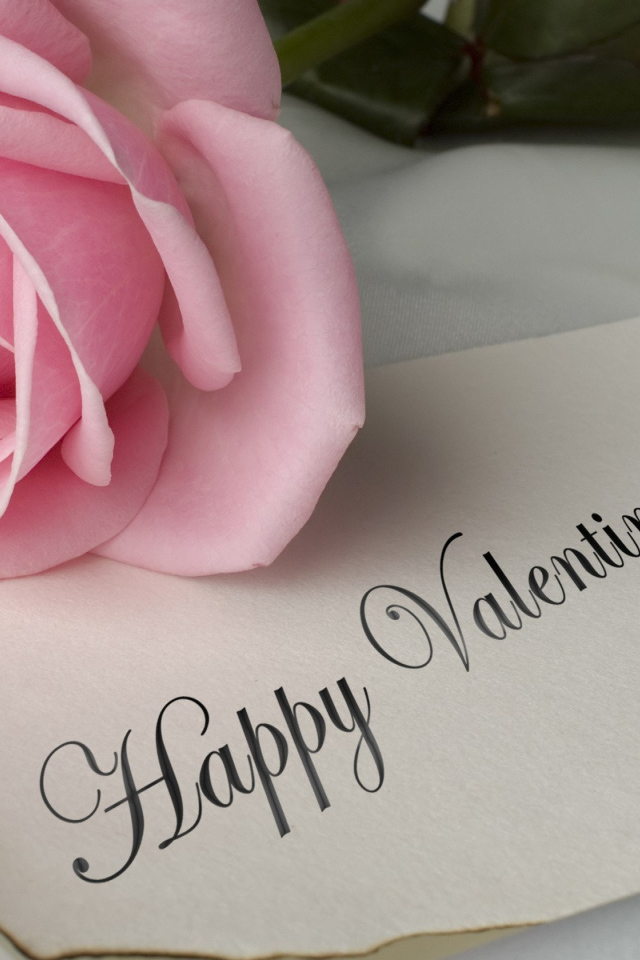 Розовая роза и открытка на День Святого Валентина 