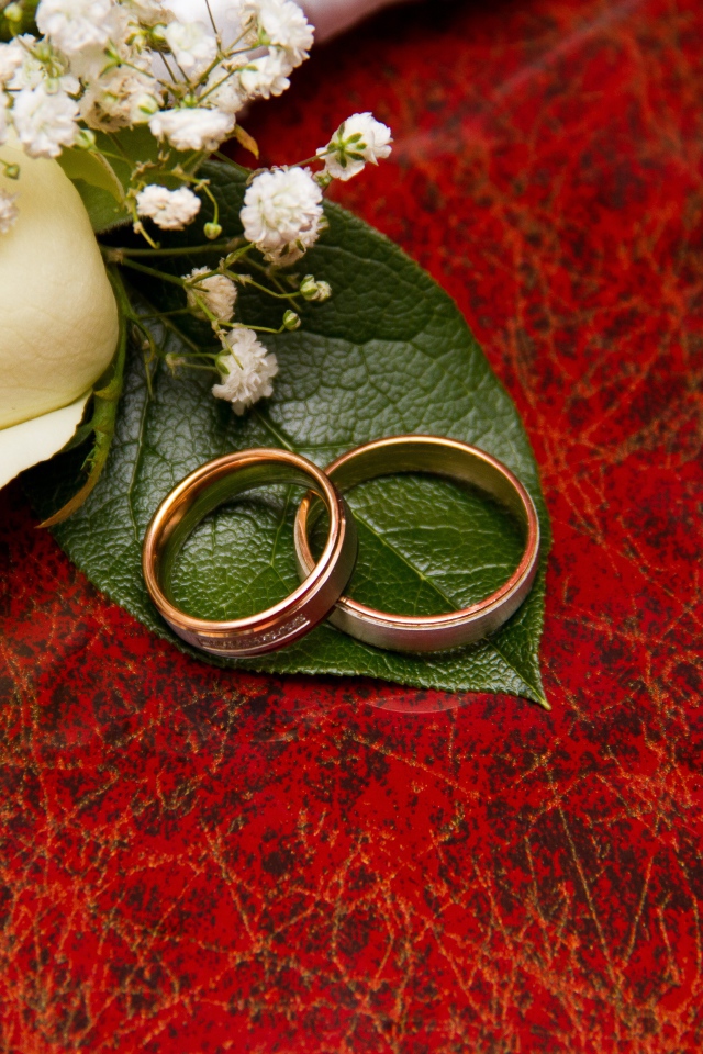 Золотые обручальные кольца на красном фоне