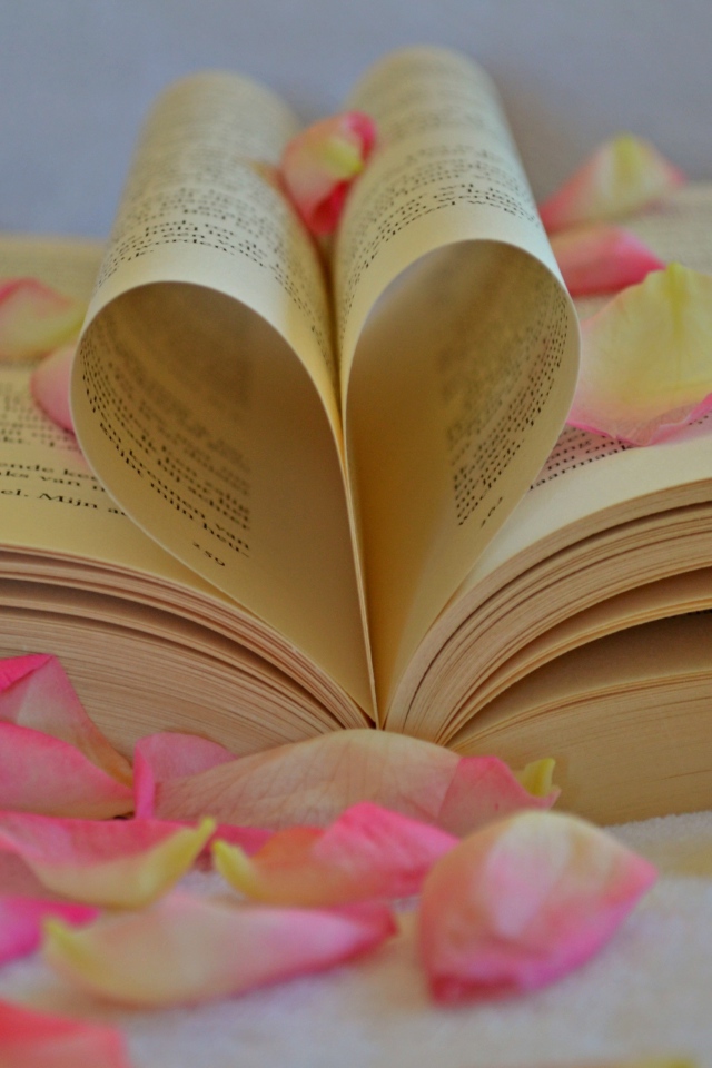 Сердце из листов книги с лепестками розы 