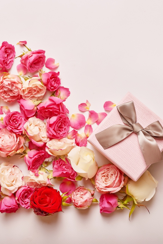 Сердце из цветов розы на розовом фоне с подарком