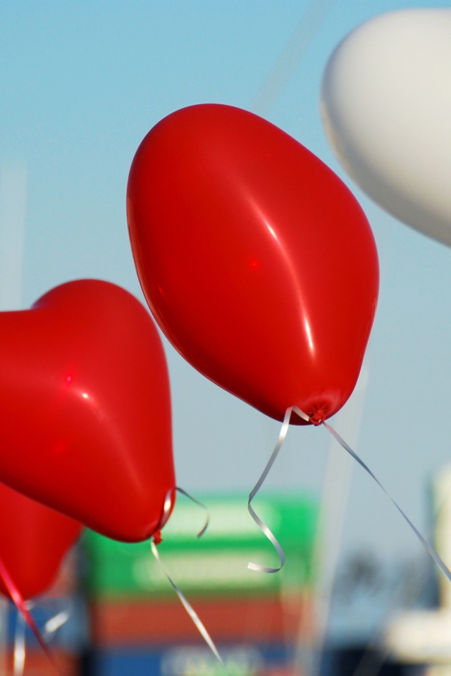 Белые и красные воздушные шарики в форме сердца