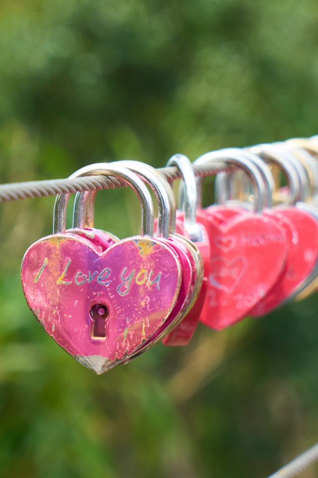 Замки влюбленных на канате у моста 