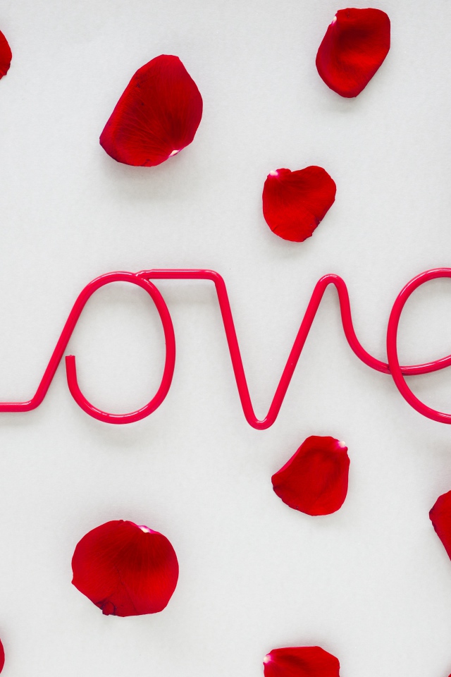 Pink lettering Love on a gray background with rose petals