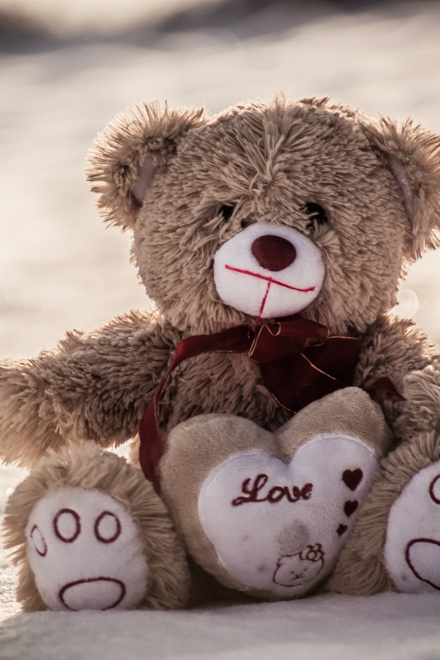 Медвежонок Тедди сидит на песке